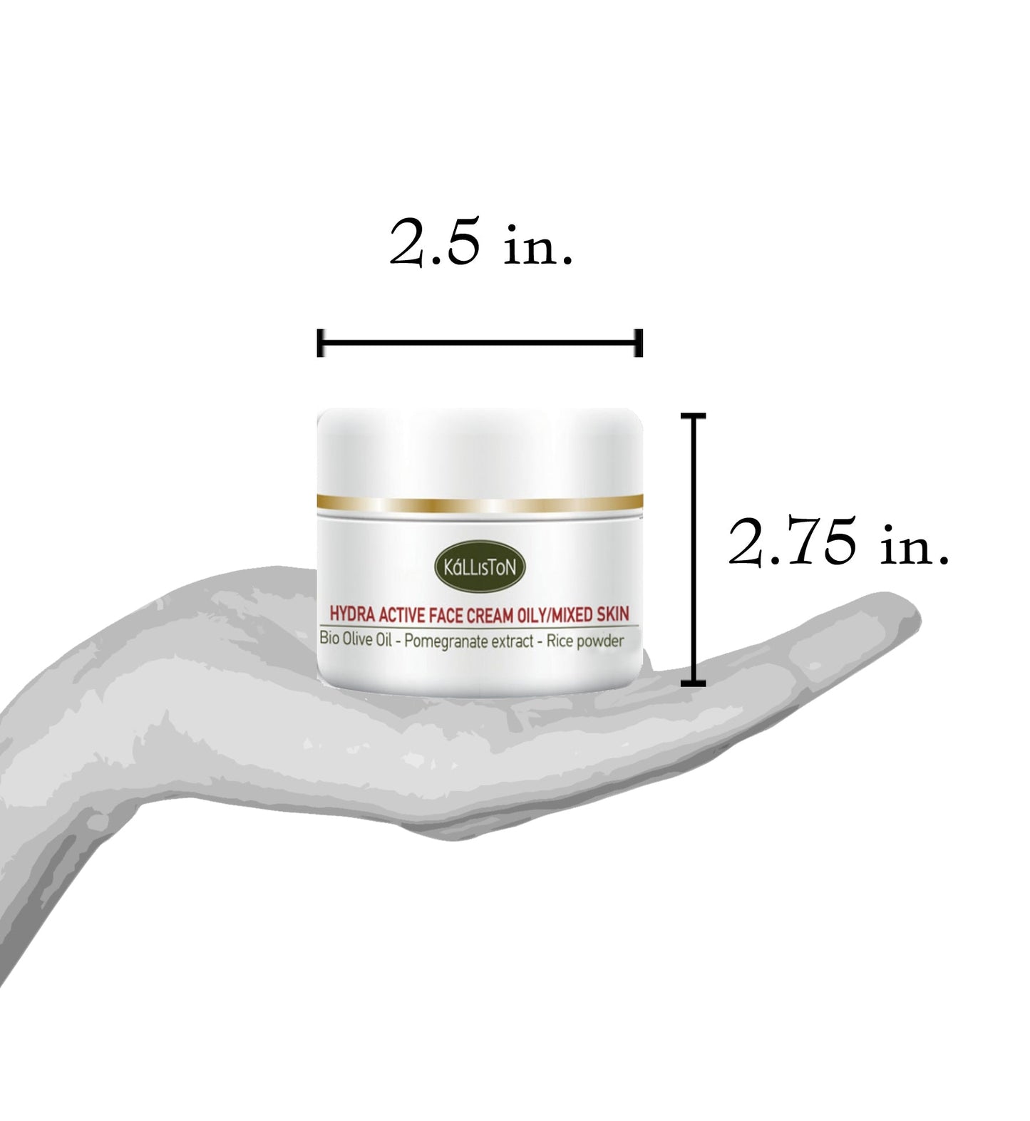 Hydra Active Face Cream, Organic Olive Oil, Pomegranate Extract, Argan Oil, Normal Oily Skin, 50 ml (1.69 oz) Made in Greece