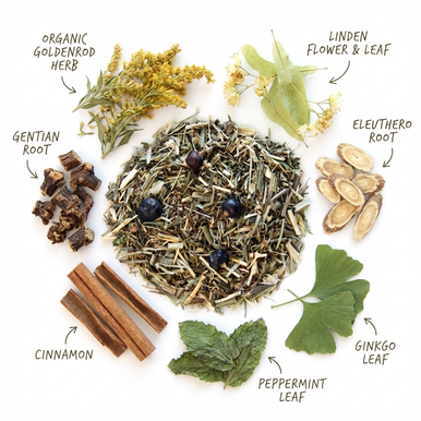 Organic Circulation Tea, Caffeine Free Herbal Infusion, Wellness Tea Collection, 1.5 oz.Jar