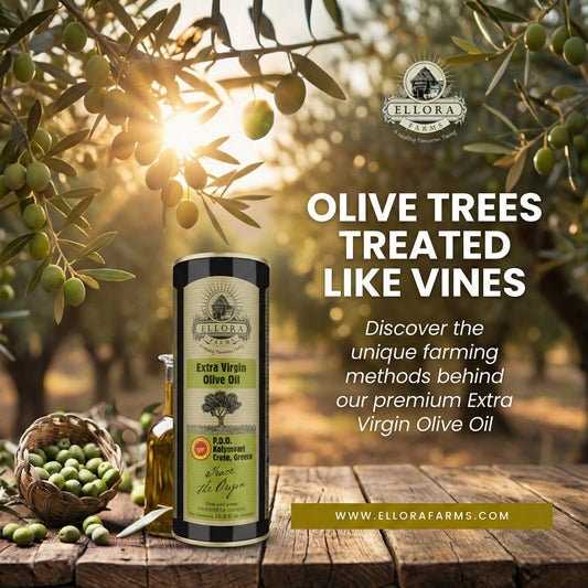 Ellora Farms, Certified PDO Extra Virgin Olive Oil, Traceable and Single Estate EVOO, Harvested in Crete, Greece, 17 oz Tin