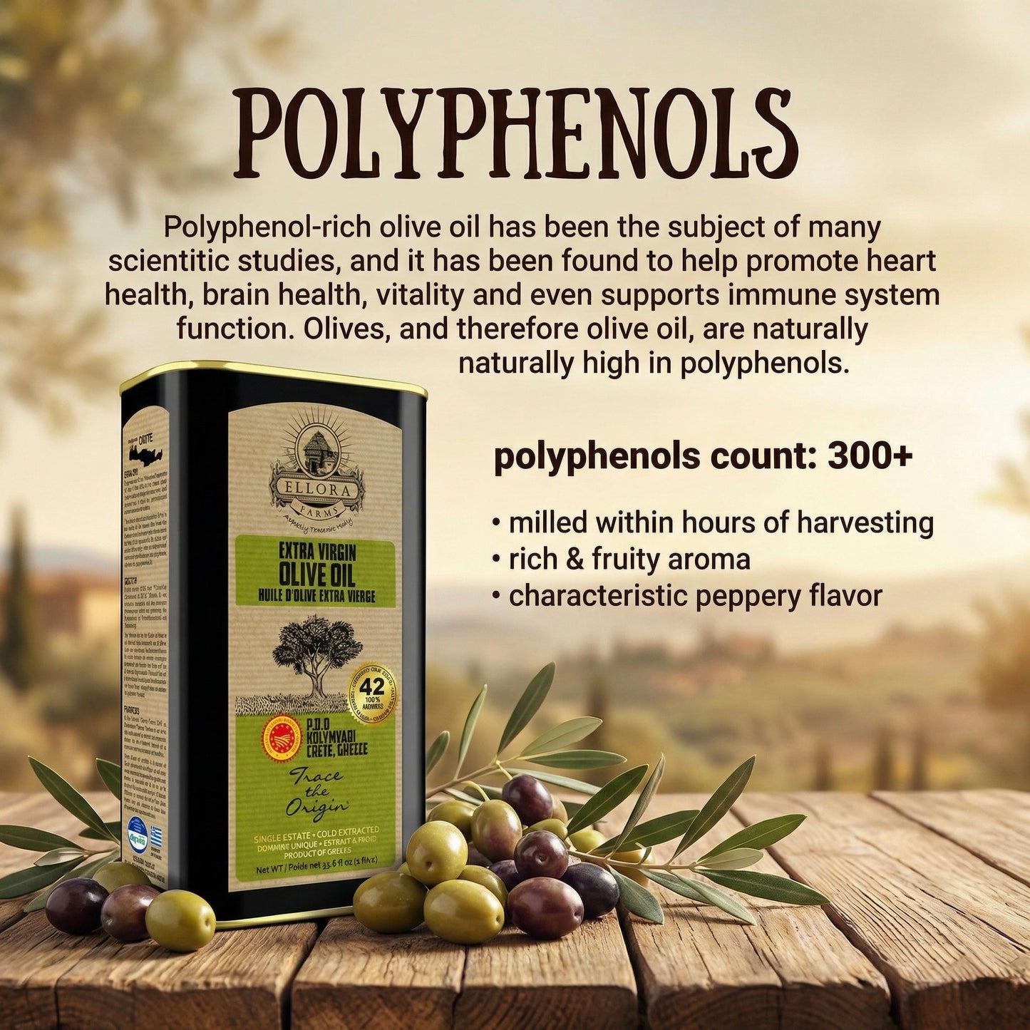 Ellora Farms PDO Kolymvari Extra Virgin Olive Oil, 1 Ltr Tin & Organic Tuscany Bread Dipping Mix, Combo