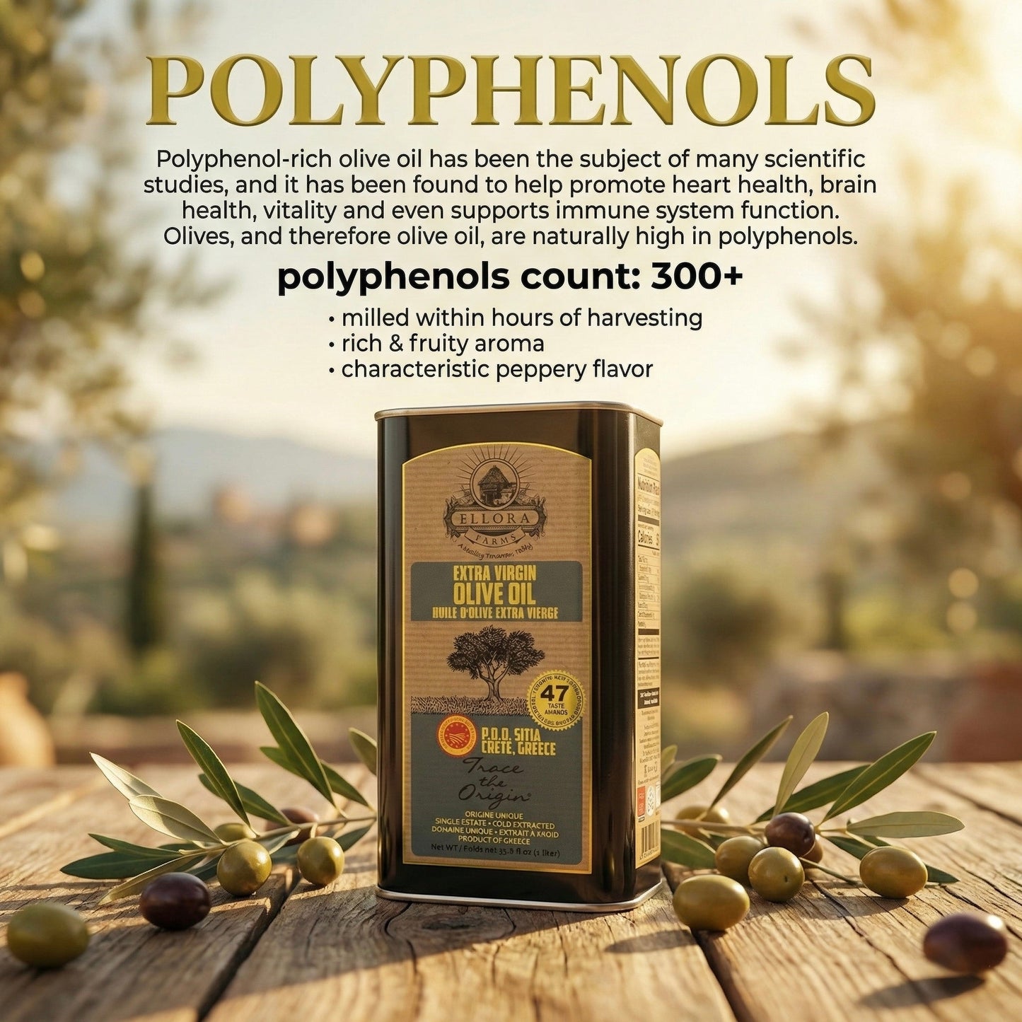 Ellora Farms PDO SITIA & Kolymvari, Greek Extra Virgin Olive Oil, 1 Ltr Tin (33.8 oz) Combo