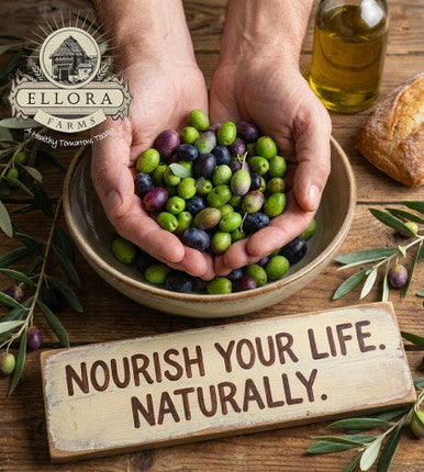 Ellora Farms PDO Kolymvari Extra Virgin Olive Oil, 1 Ltr Tin & Organic Tuscany Bread Dipping Mix, Combo