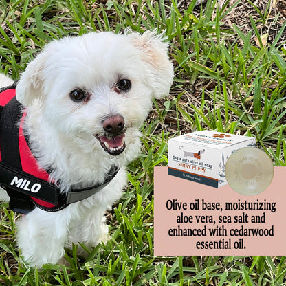 Puppy Dog Olive Oil Soap with Aloe Vera Extract, Shampoo Bar Soap, Itch Relief from Cedar Oil, Soap Base, 130 Grams